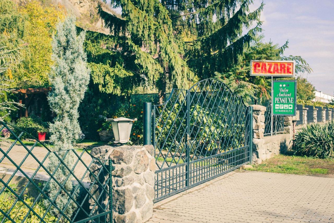 Pensiunea Dulce Ambient Paulis Exterior photo